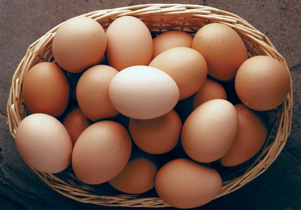 How To Start Egg Supply Business In Nigeria How To Start Egg Supply Business In Nigeria