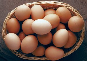 How To Start Egg Supply Business In Nigeria